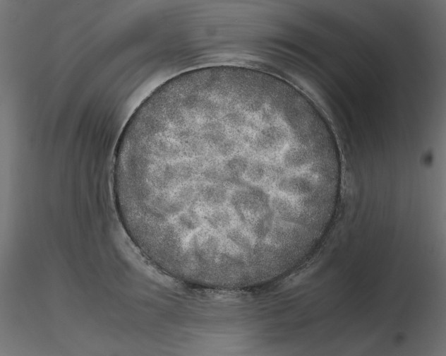 X0000116620899200912312136