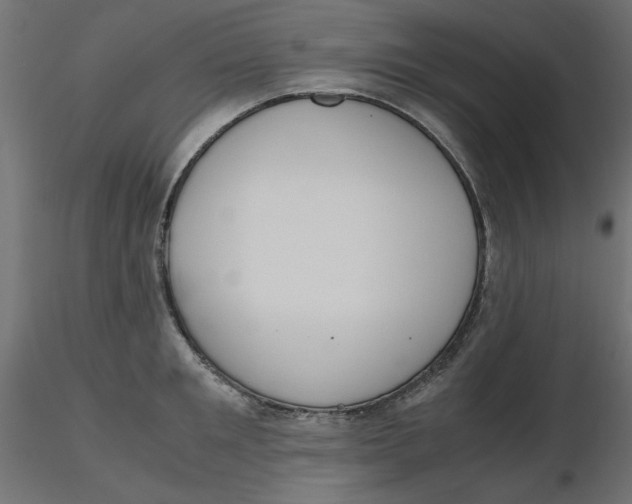 X0000116620901200912312136