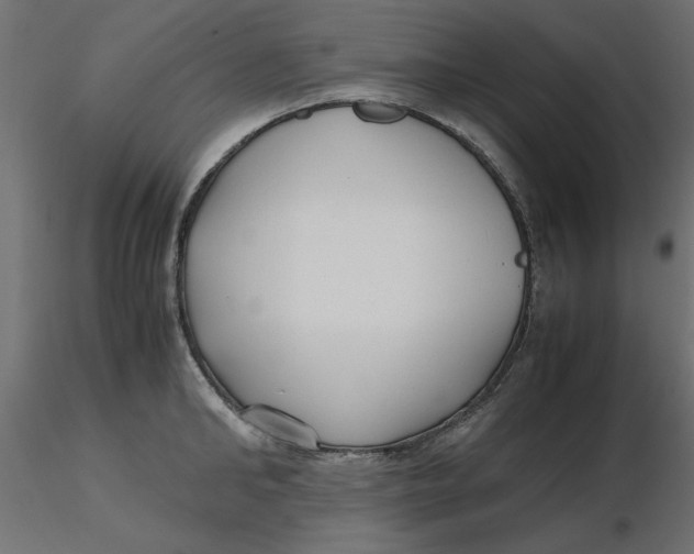 X0000116620902200912312136