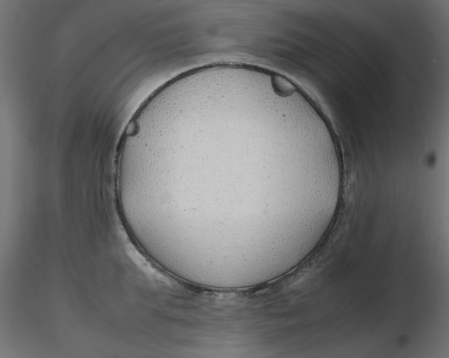 X0000116620903200912312136