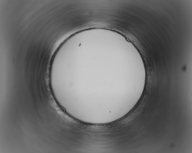 X0000116620904200912312136