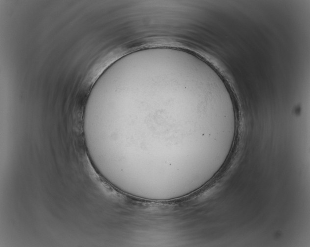 X0000116620905200912312136