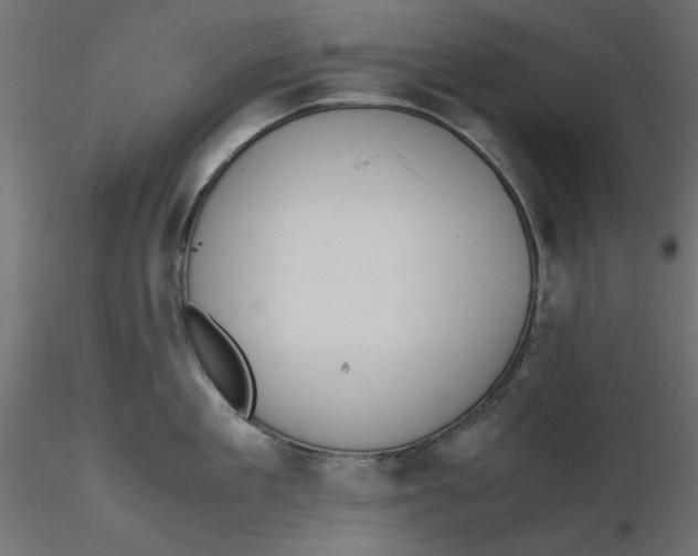 X0000116620909200912312136