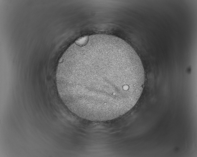 X0000116620913200912312135