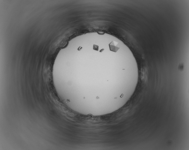 X0000116620915200912312135