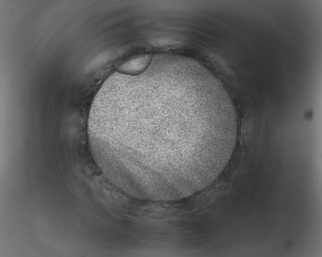 X0000116620917200912312135