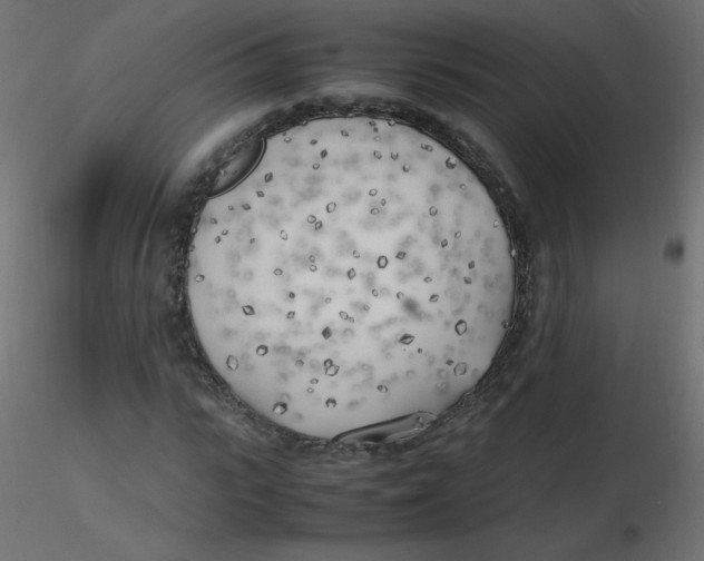 X0000116620919200912312135