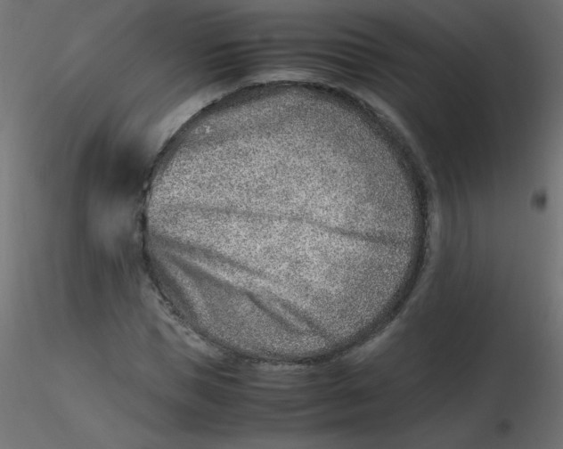 X0000116620921200912312135