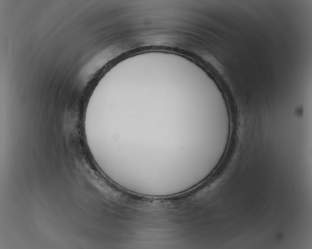 X0000116620922200912312135