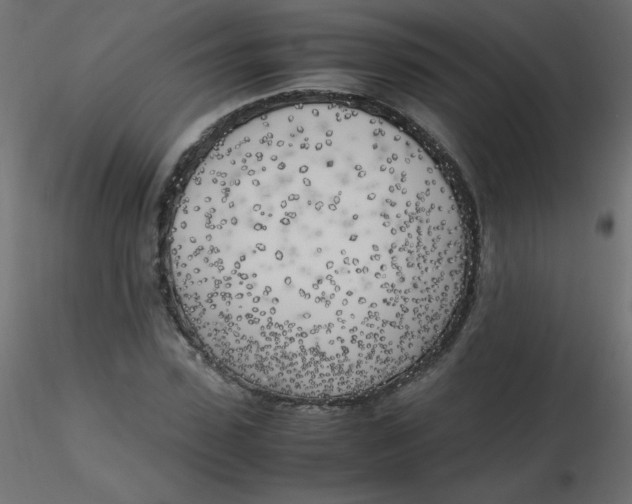 X0000116620923200912312135