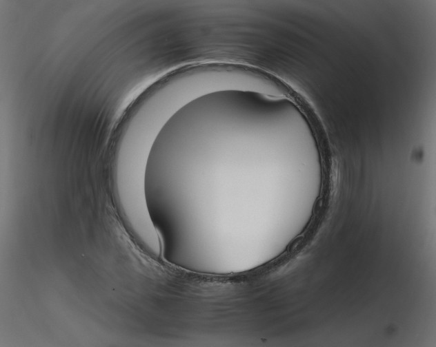 X0000116620925200912312136