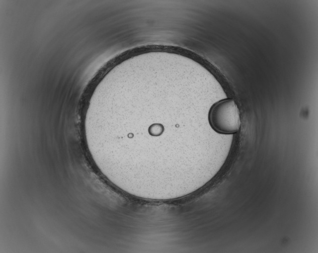 X0000116620926200912312136