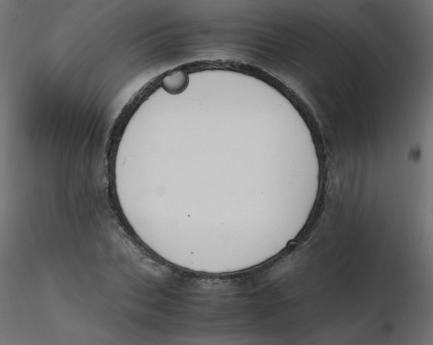 X0000116620927200912312136