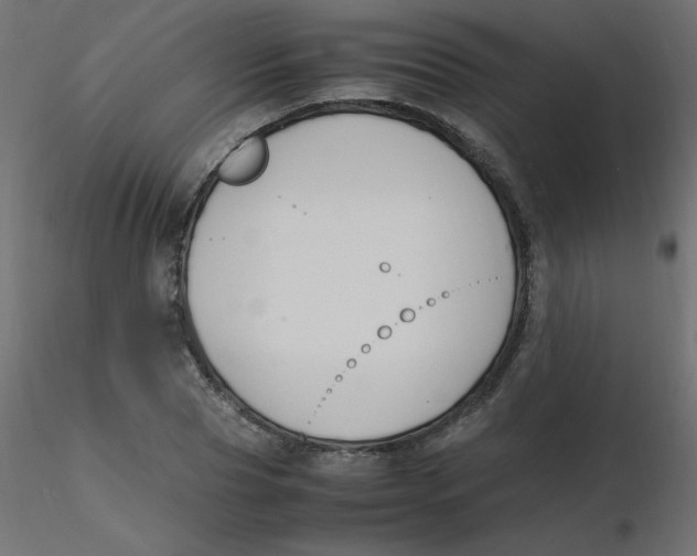 X0000116620929200912312136