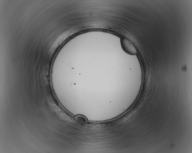 X0000116620930200912312136