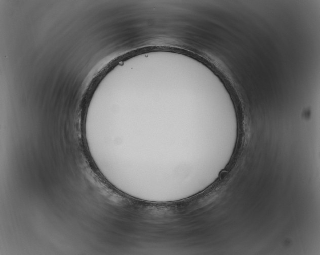 X0000116620931200912312136