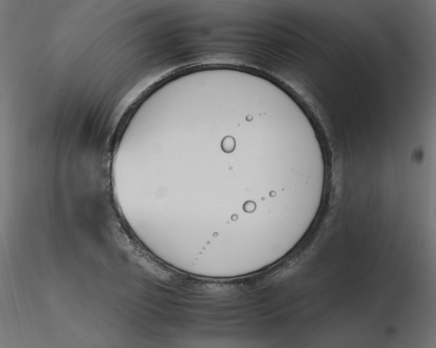 X0000116620933200912312136