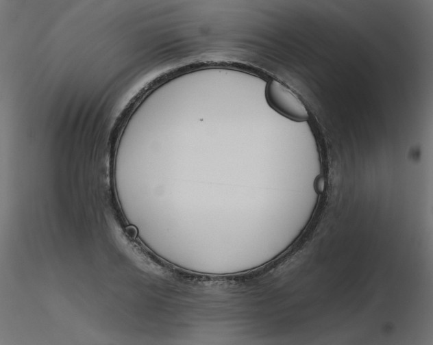 X0000116620934200912312136