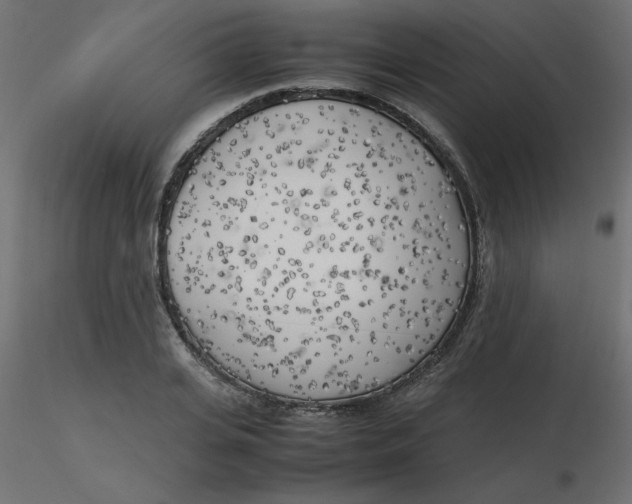 X0000116620935200912312136