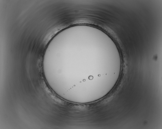 X0000116620937200912312136