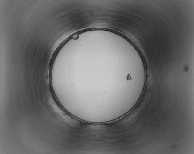 X0000116620939200912312136