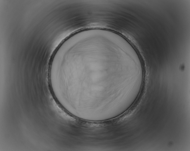 X0000116620941200912312136