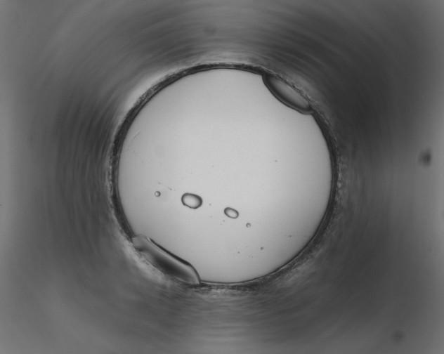 X0000116620942200912312136