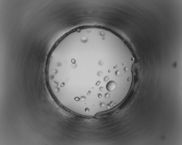 X0000116620943200912312136