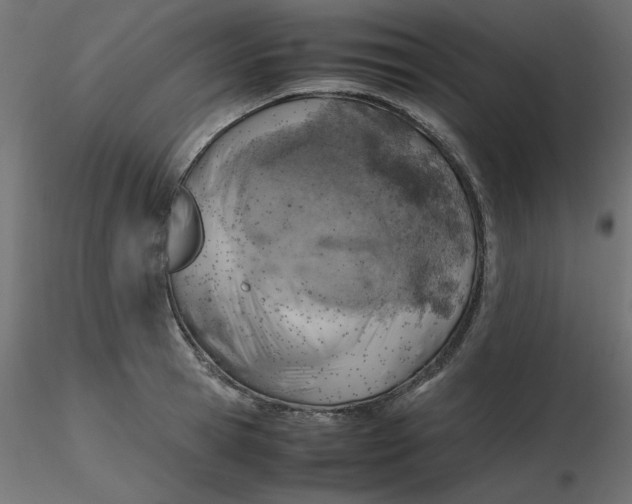 X0000116620945200912312136