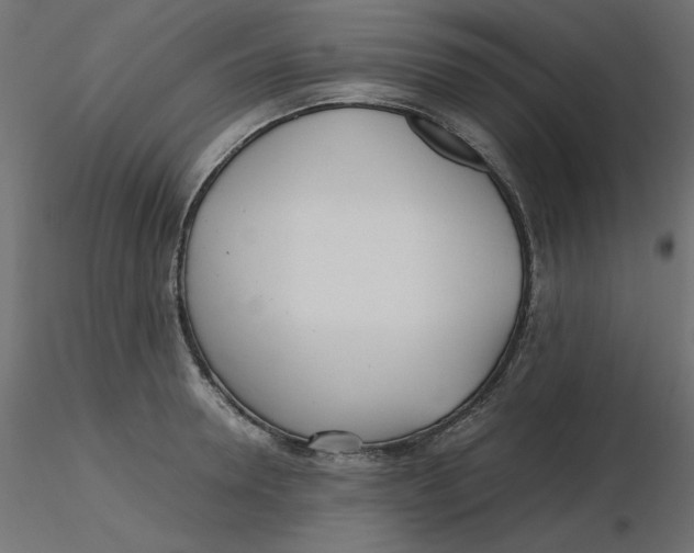 X0000116620946200912312136