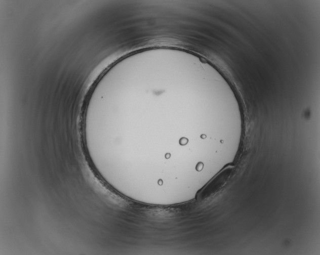 X0000116620947200912312136