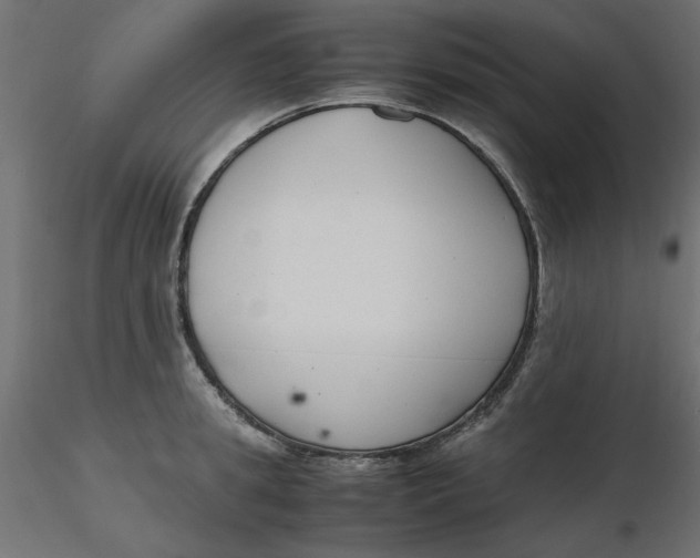 X0000116620949200912312136