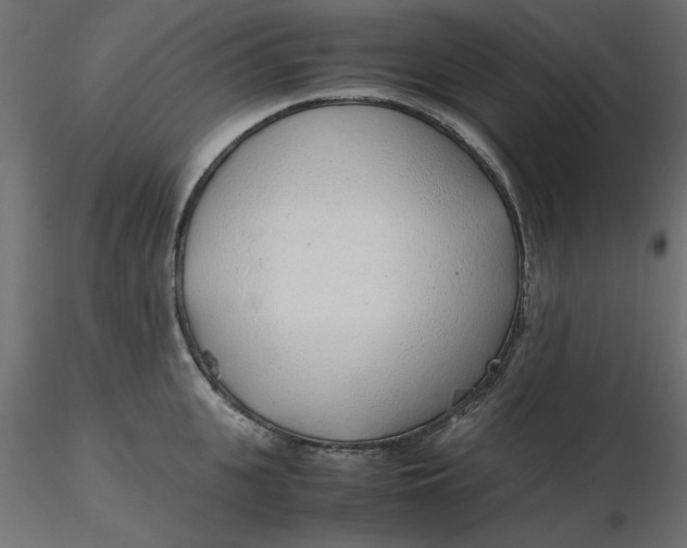 X0000116620951200912312136