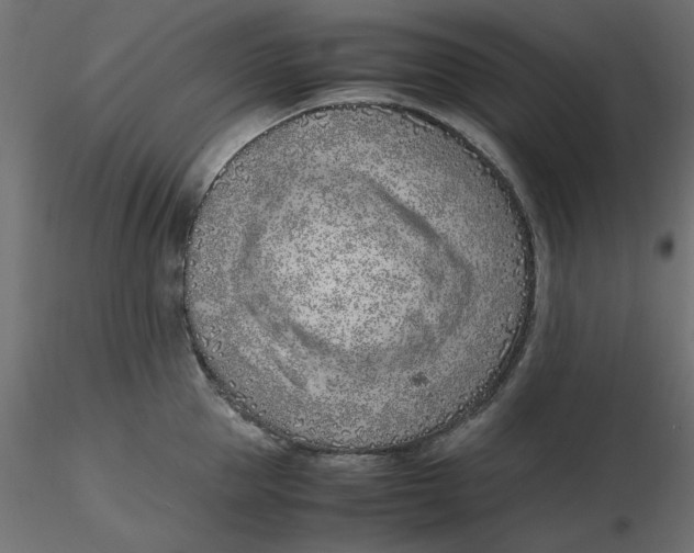 X0000116620953200912312136