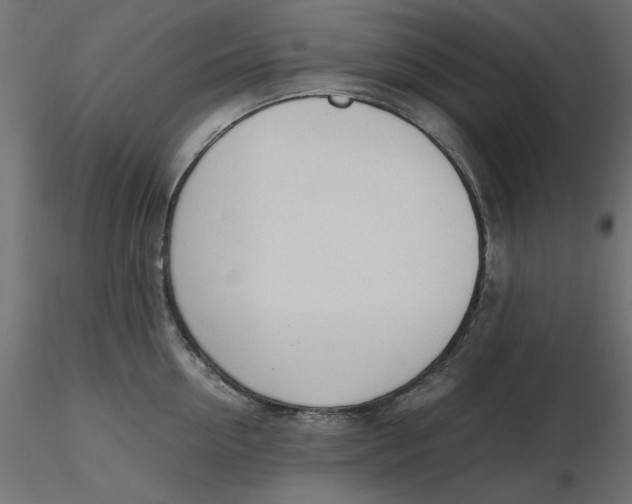 X0000116620954200912312136