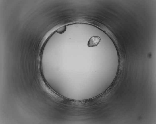 X0000116620955200912312136