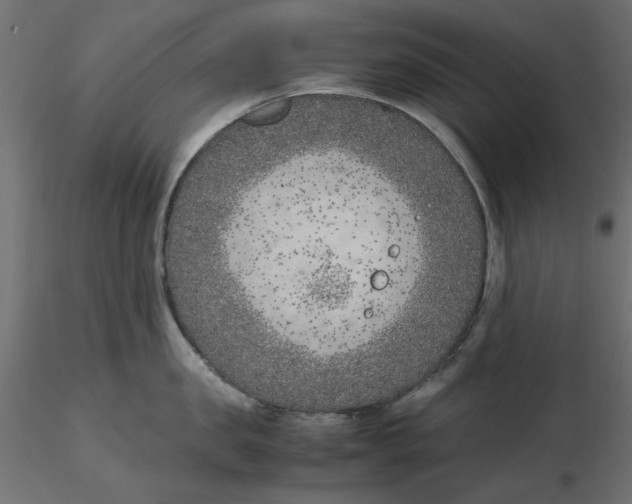 X0000116620957200912312136