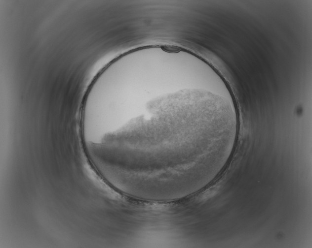 X0000116620958200912312136