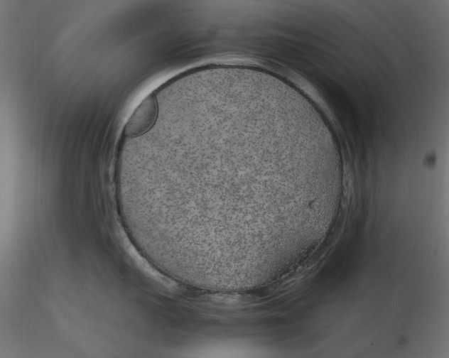 X0000116620959200912312136