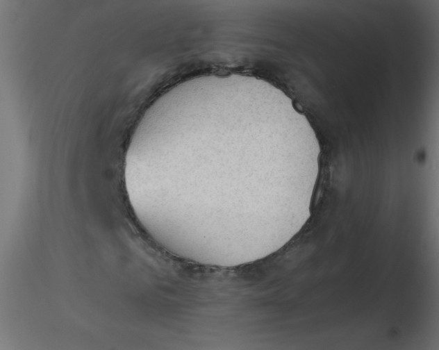 X0000116620961200912312135