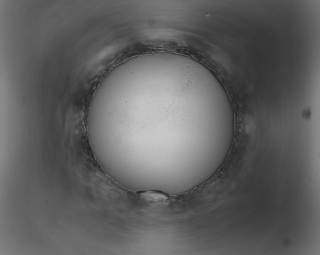 X0000116620965200912312135