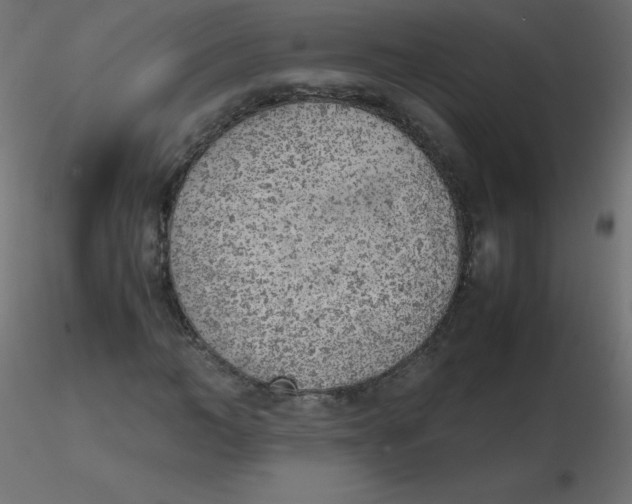 X0000116620966200912312135