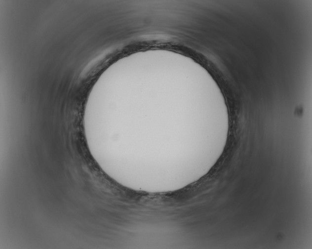 X0000116620967200912312135