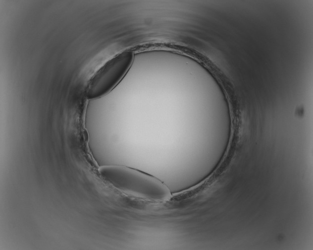 X0000116620969200912312135