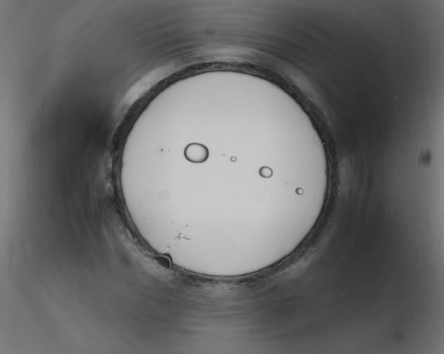 X0000116620970200912312135