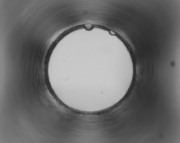 X0000116620972200912312135