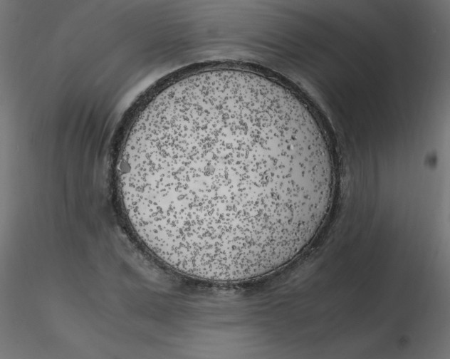 X0000116620975200912312135