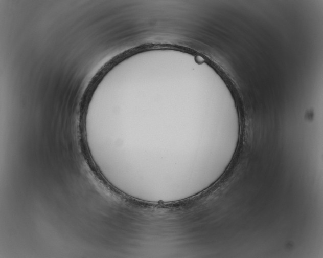 X0000116620976200912312135