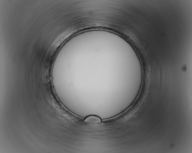 X0000116620977200912312135