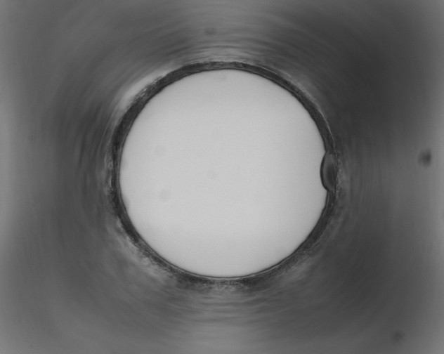 X0000116620979200912312135